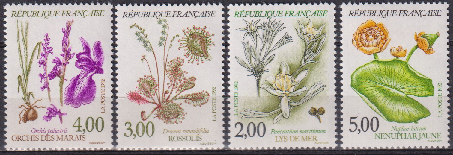Numérisation_20260508 (28)