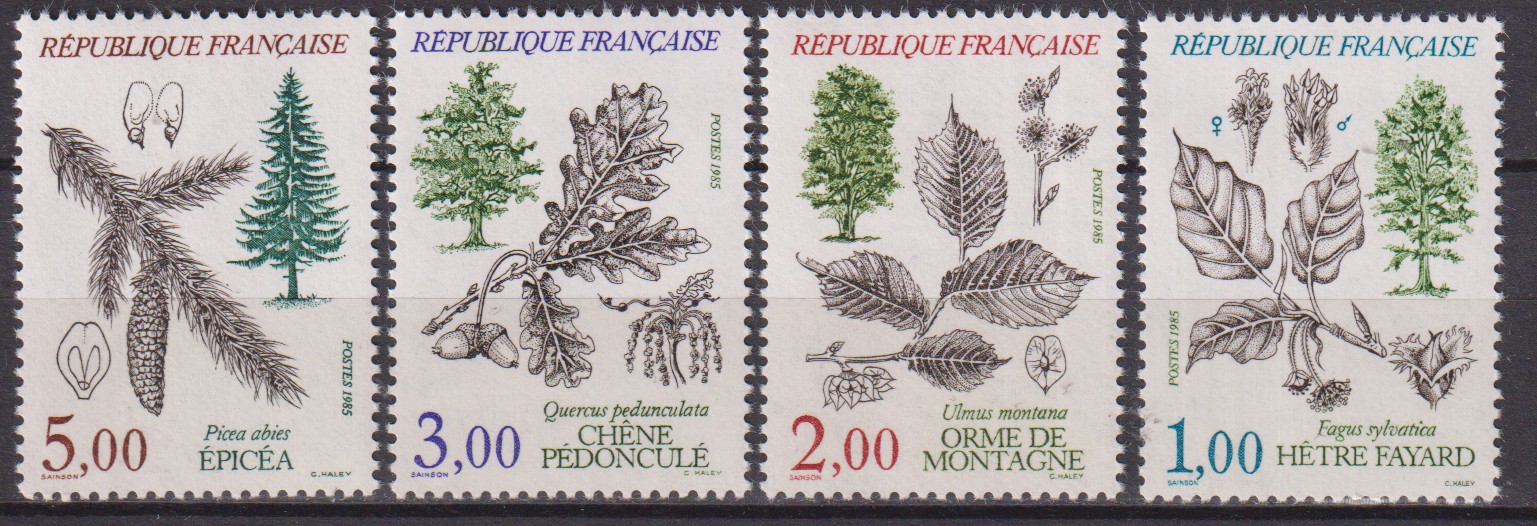 Numérisation_20260508 (18)