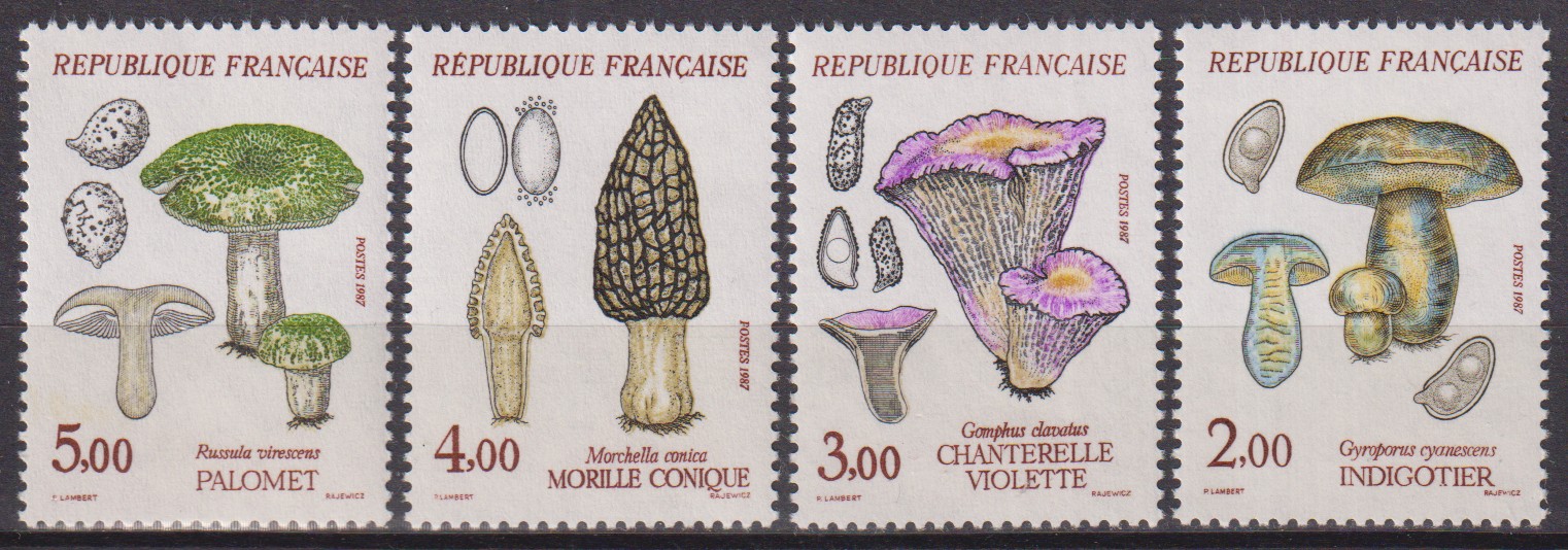 Numérisation_20260508 (17)