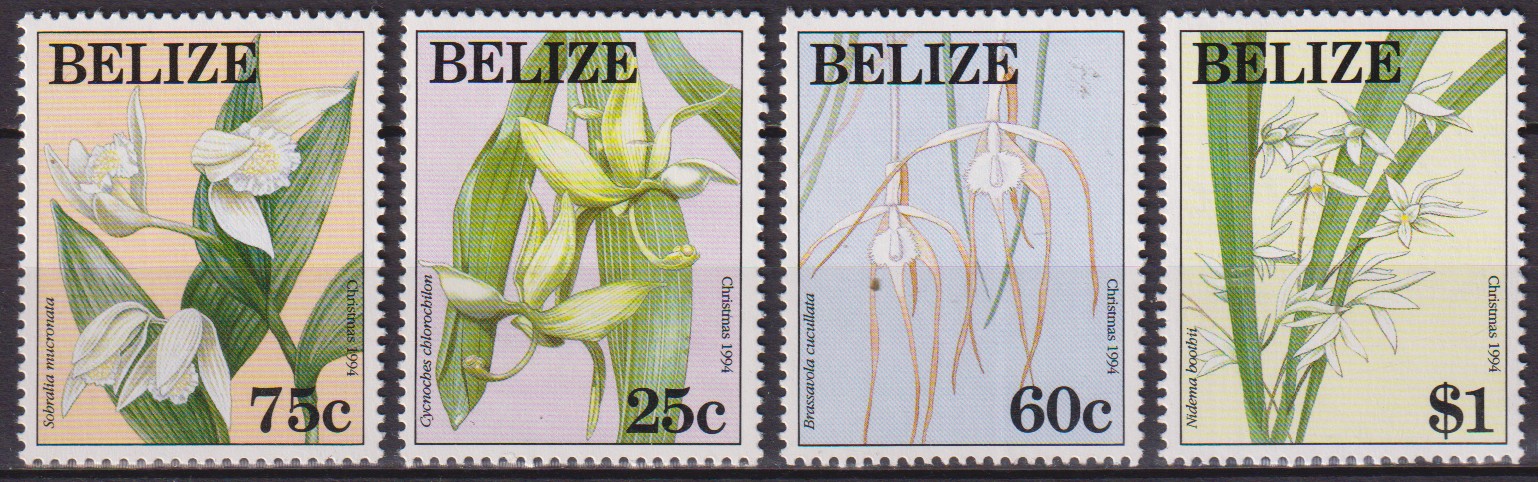 Numérisation_20260506 (234)