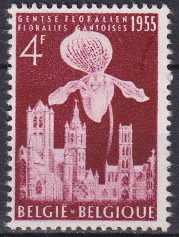 Numérisation_20260506 (244)