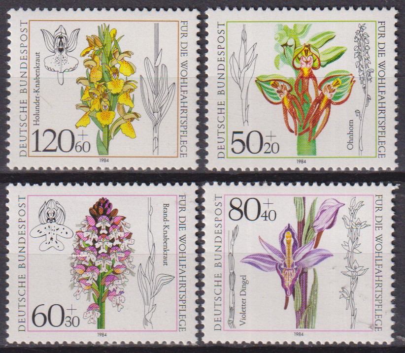 Numérisation_20260506 (200)
