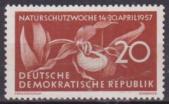 Numérisation_20260506 (203)