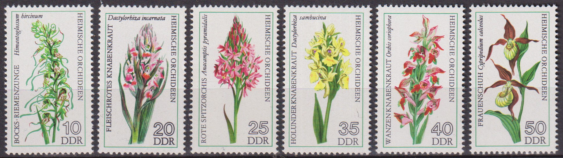 Numérisation_20260506 (194)