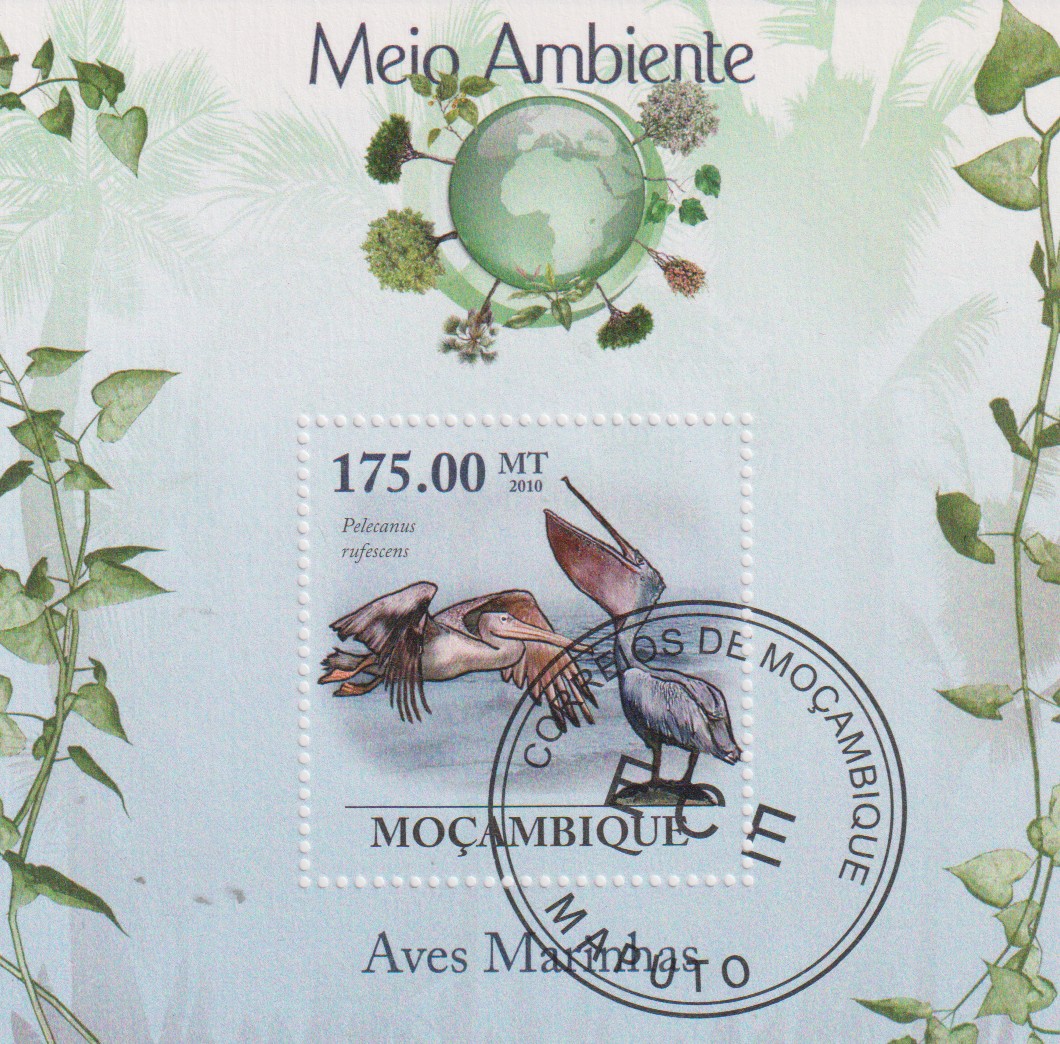 Numérisation_20260521 (15)
