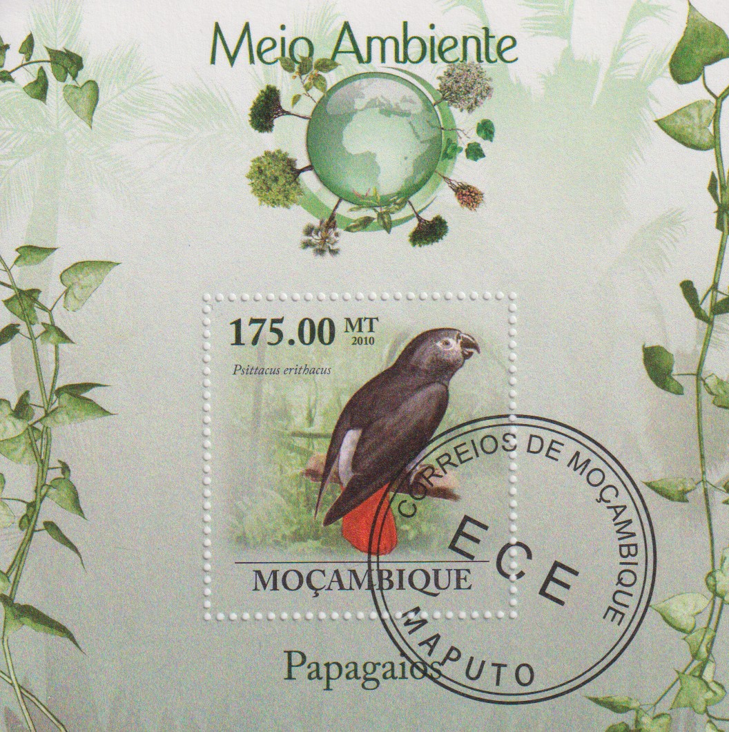 Numérisation_20260521 (13)