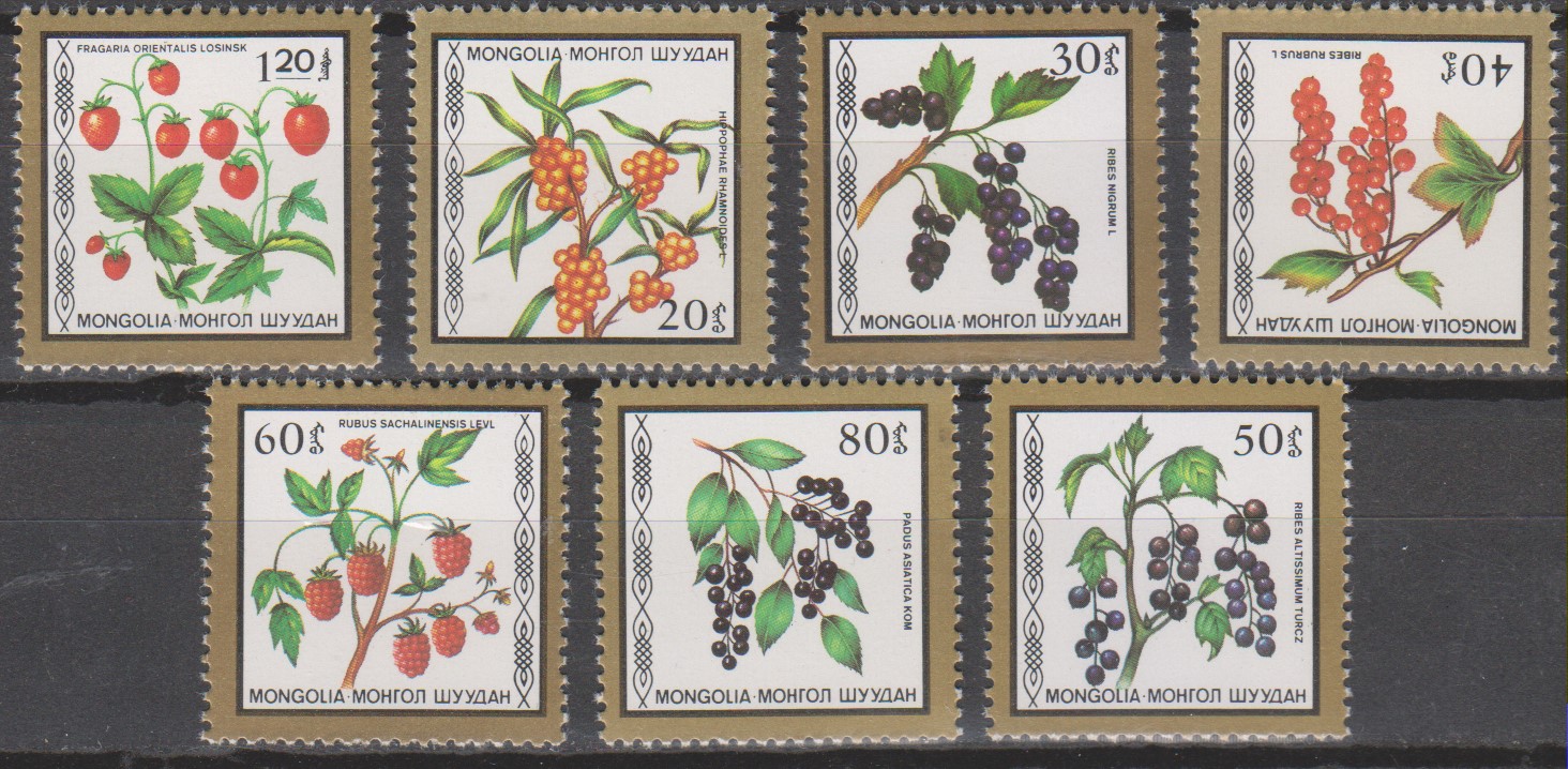 Numérisation_20200203 (37)