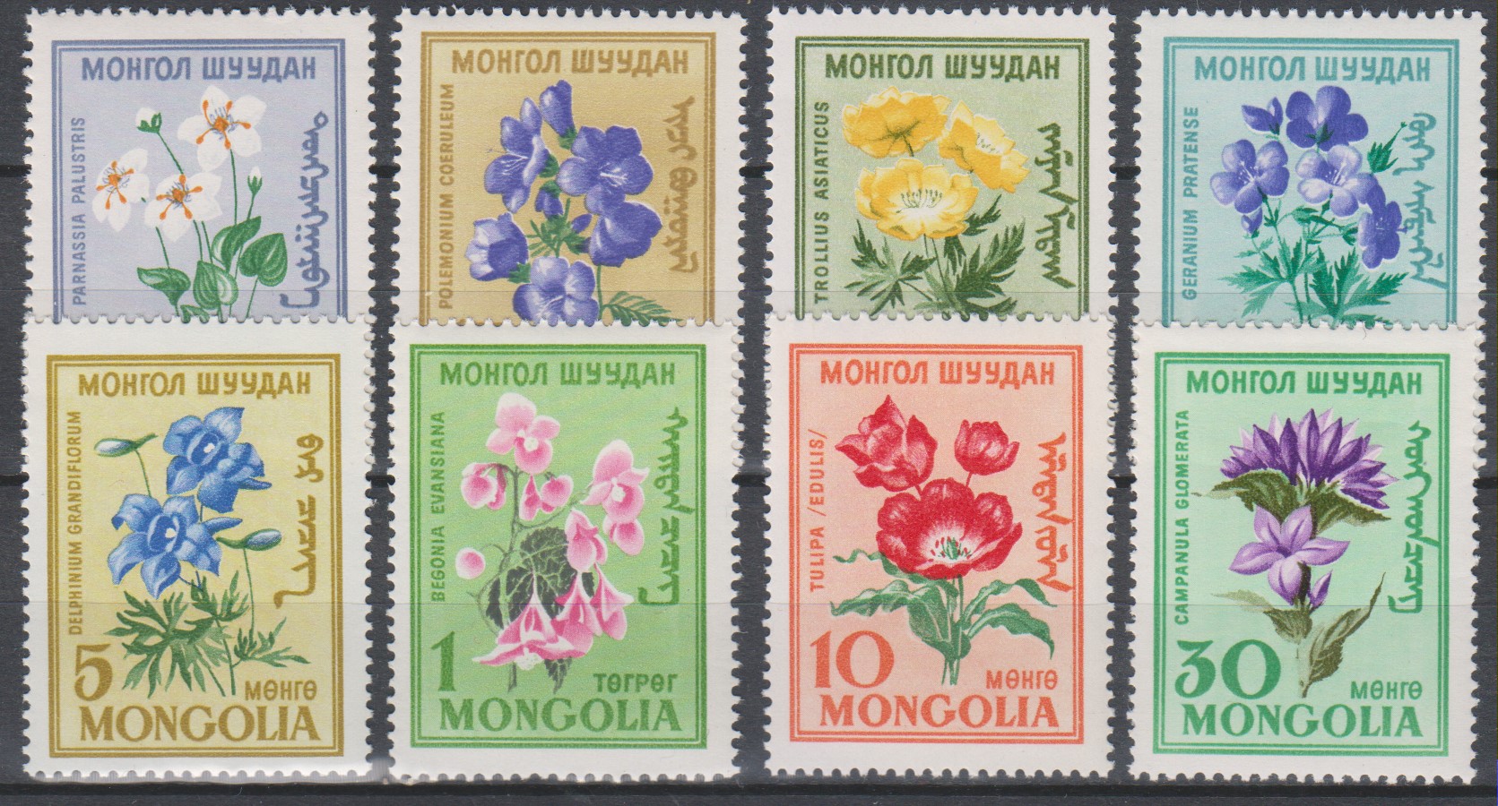 Numérisation_20200203 (42)