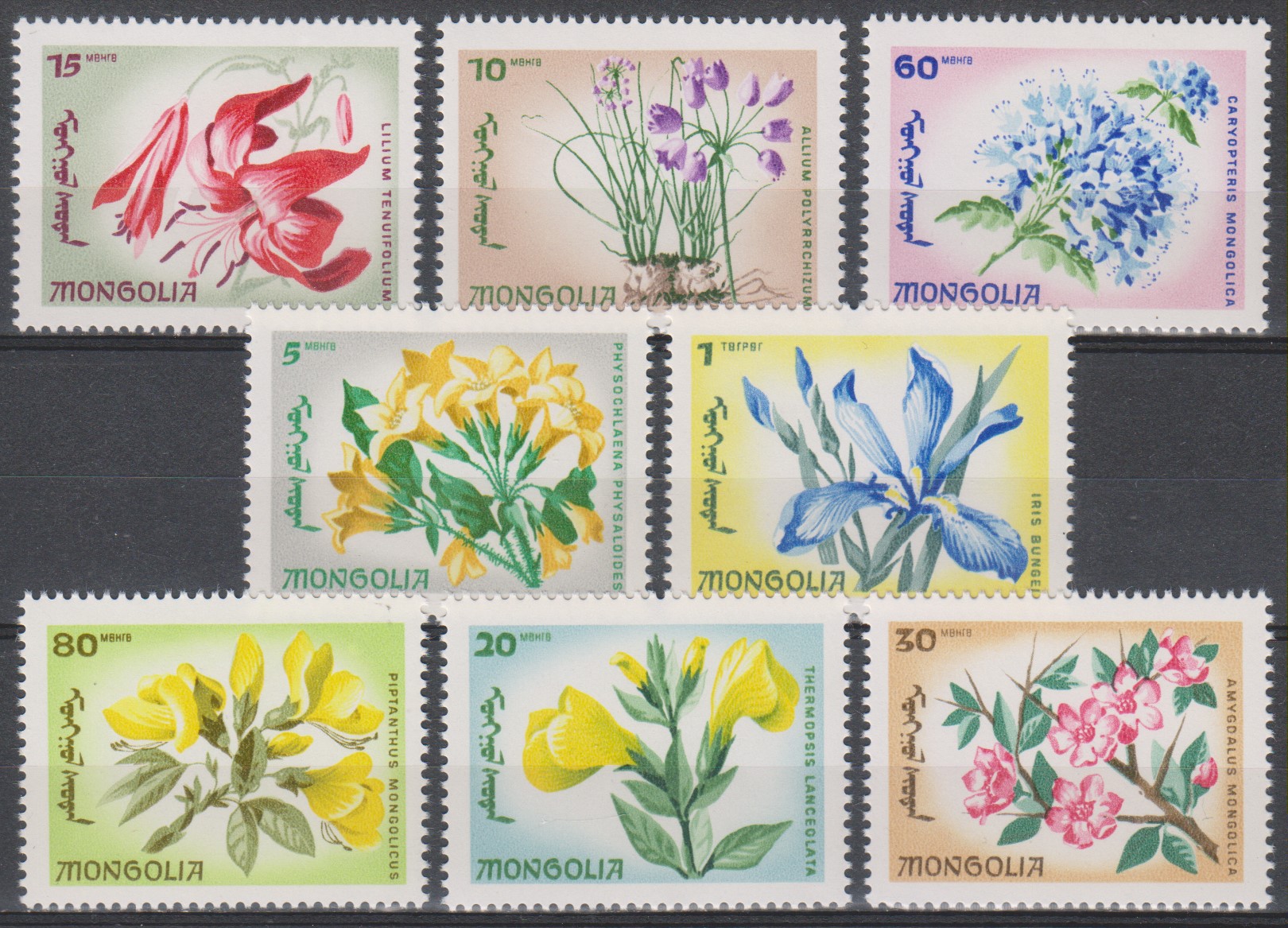 Numérisation_20200203 (48)