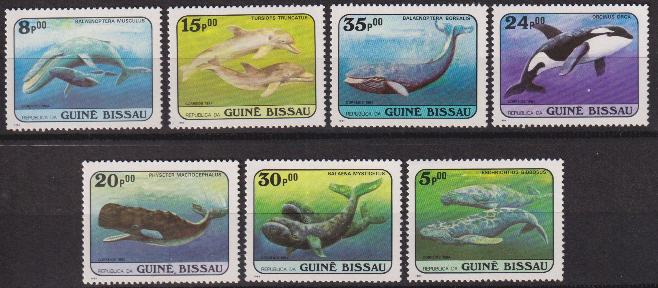 Numérisation_20260528 (22)