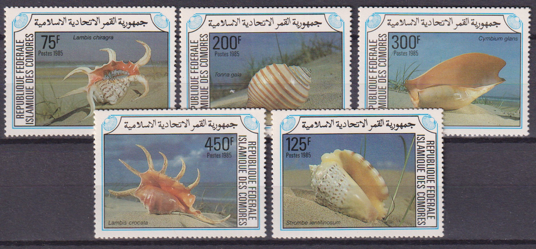 Numérisation_20260527 (65)