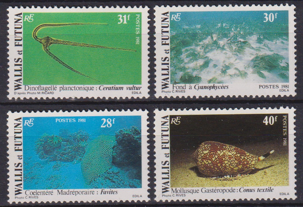 Numérisation_20260527 (41)