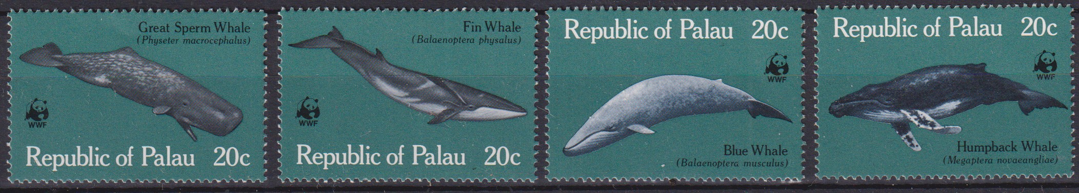 Numérisation_20260527 (25)