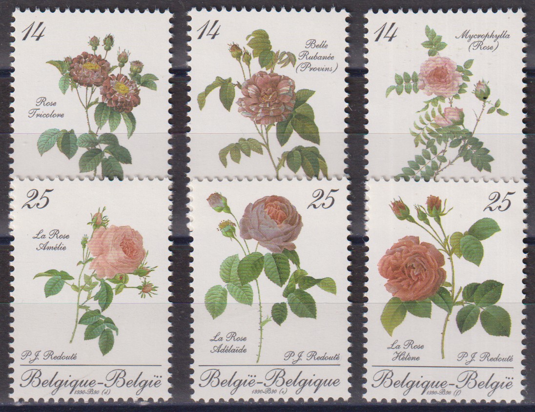 Numérisation_20260610 (19)