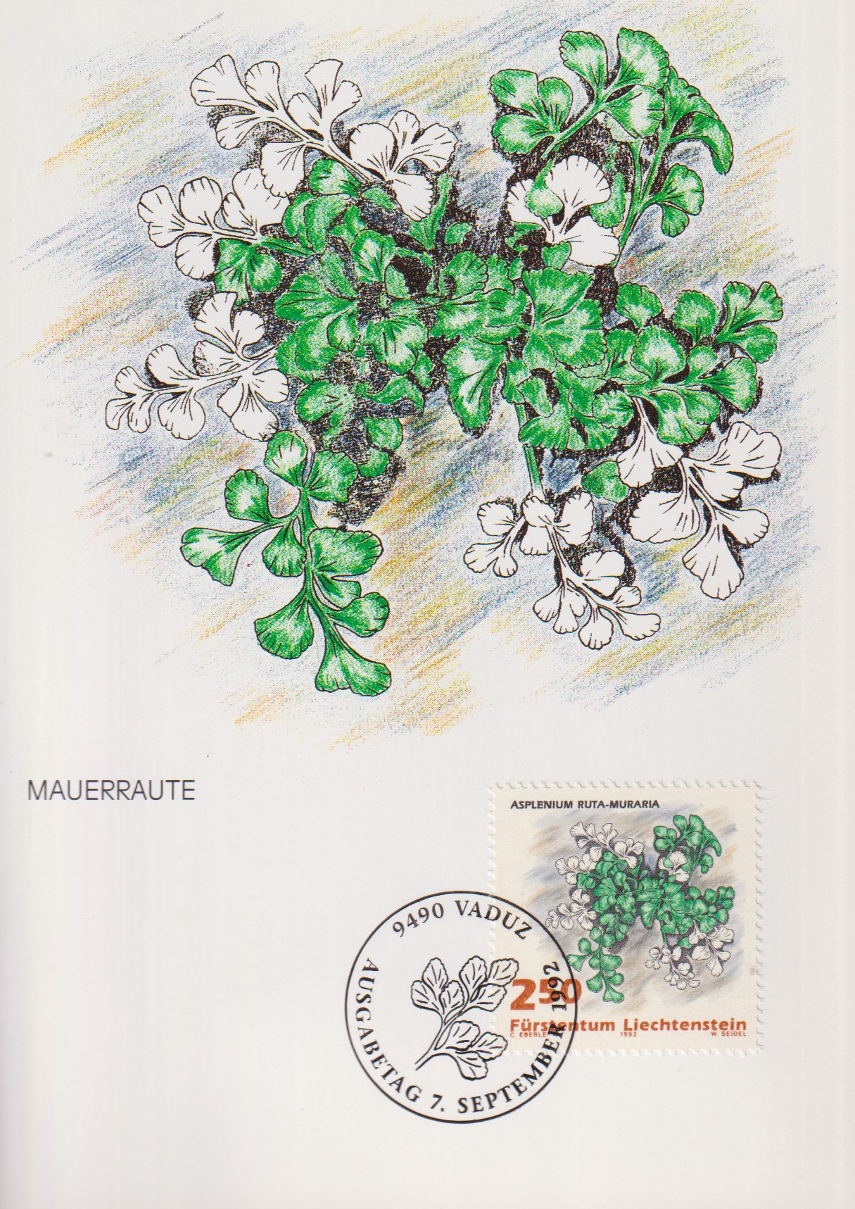 Numérisation_20260224 (98)