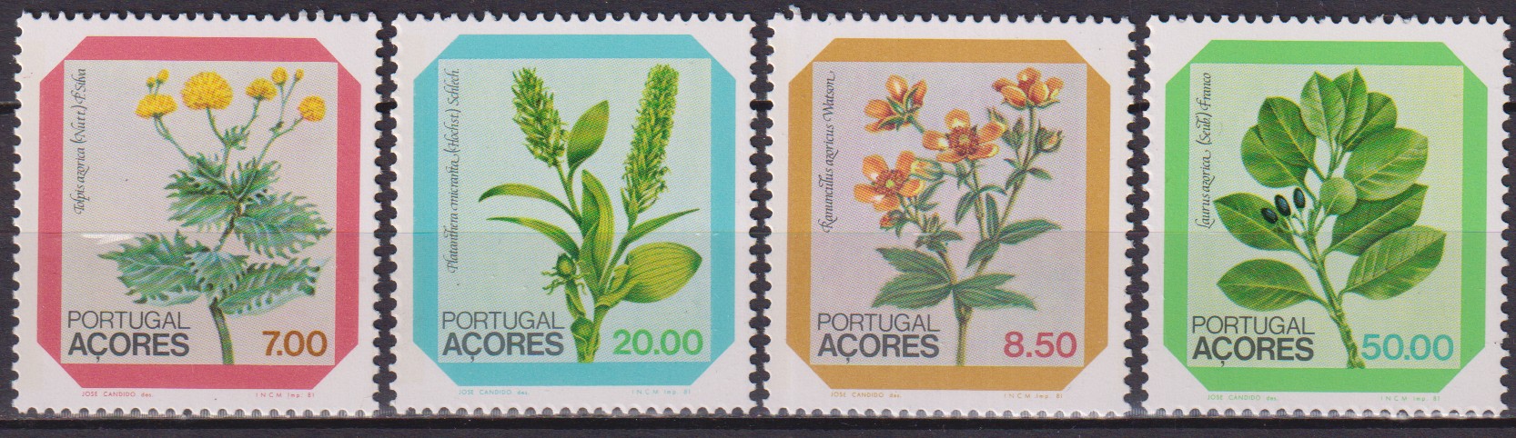 Numérisation_20260615 (32)