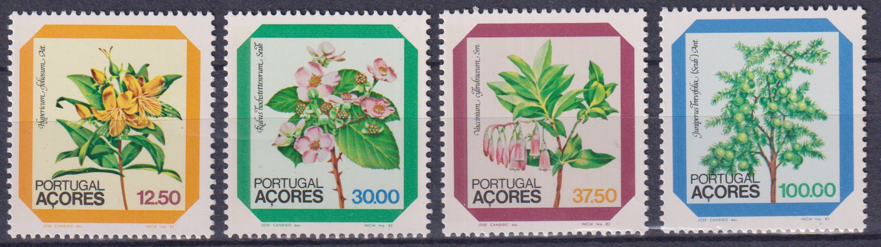 Numérisation_20260615 (20)