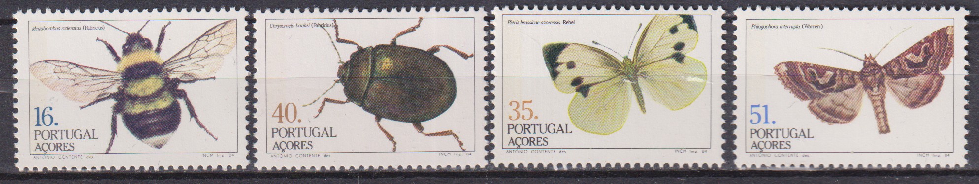 Numérisation_20260615 (18)