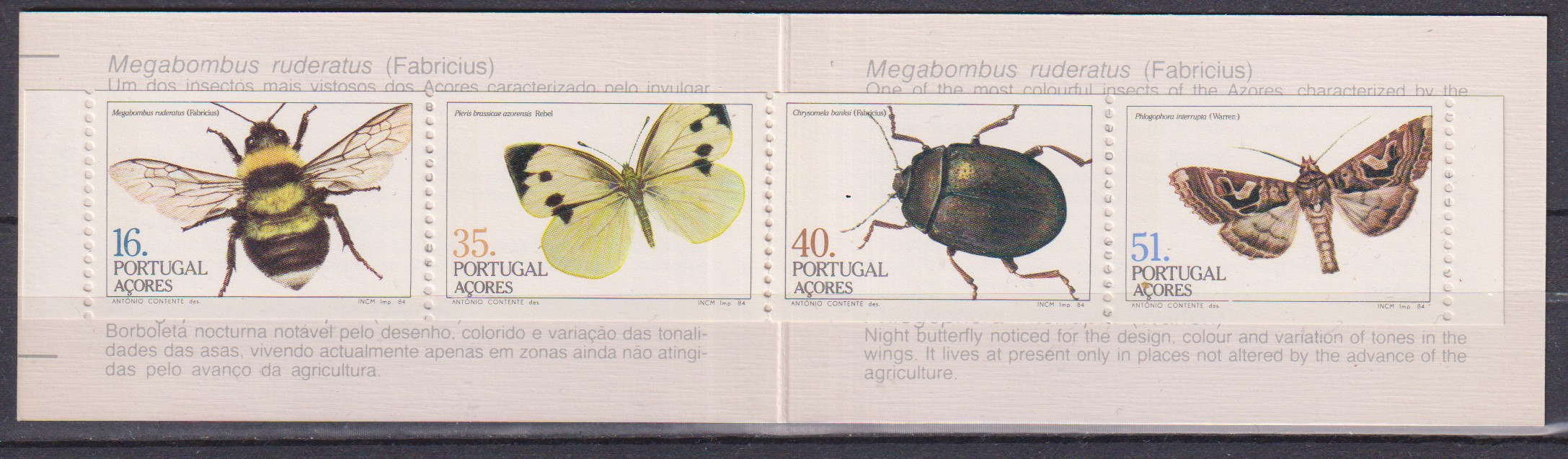 Numérisation_20260615 (17)
