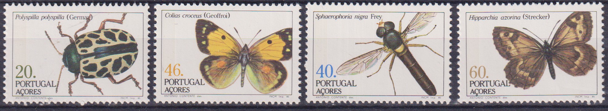 Numérisation_20260615 (13)