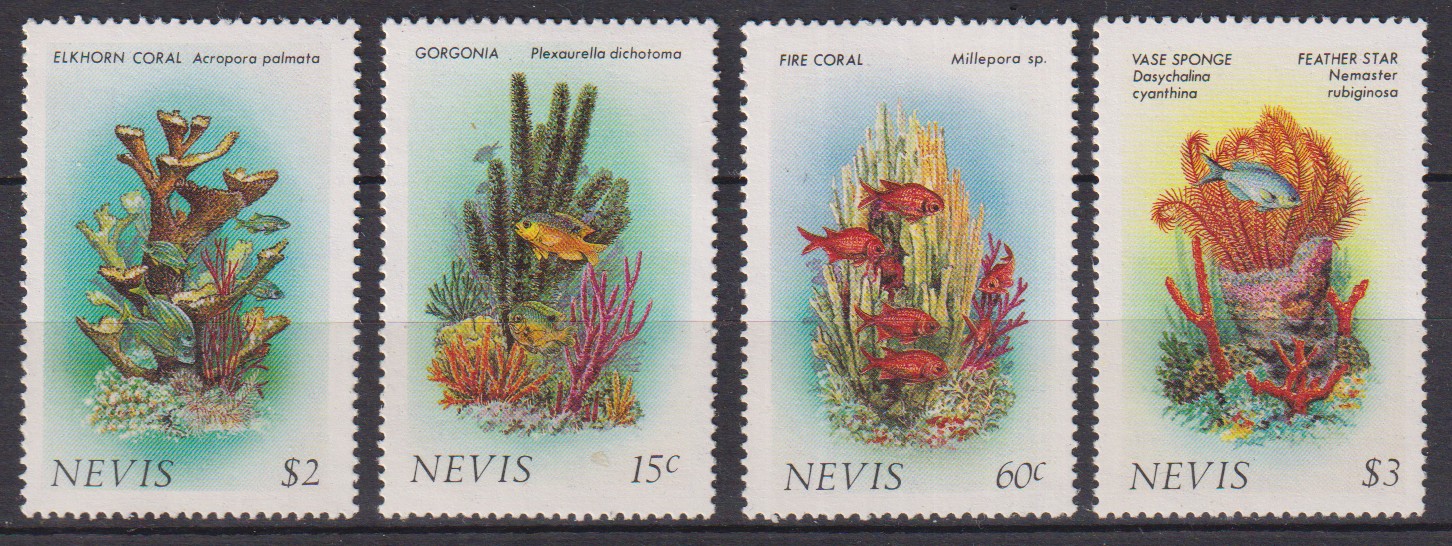Numérisation_20260617 (72)