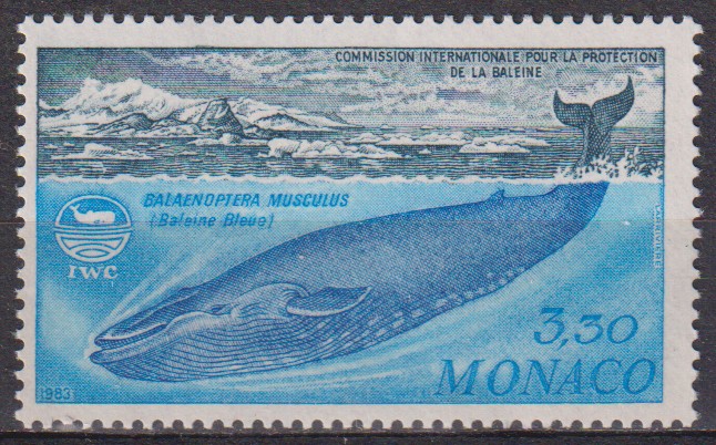 Numérisation_20260617 (61)