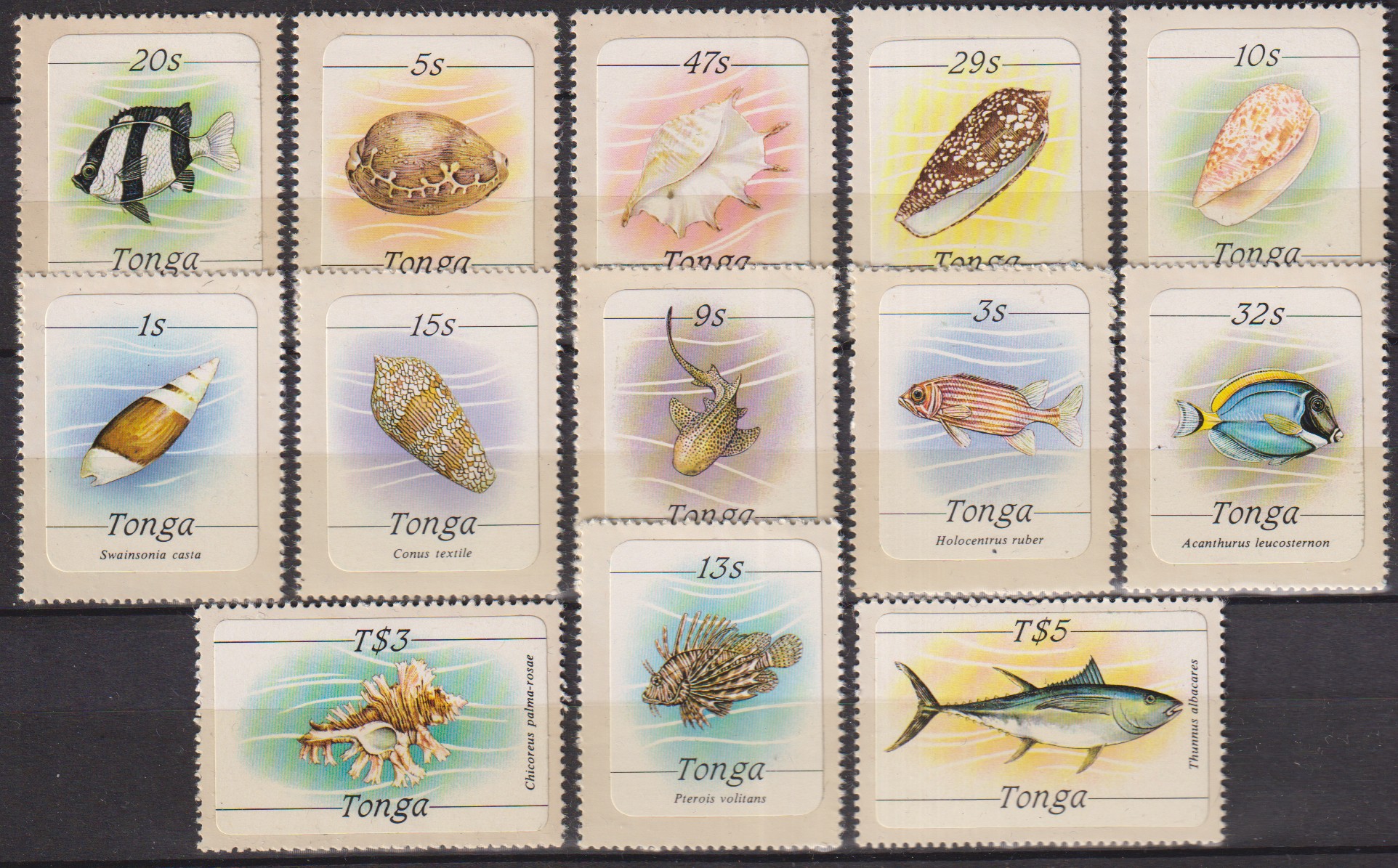 Numérisation_20260617 (86)