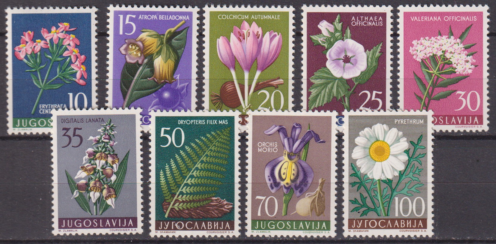 Numérisation_20260619 (196)
