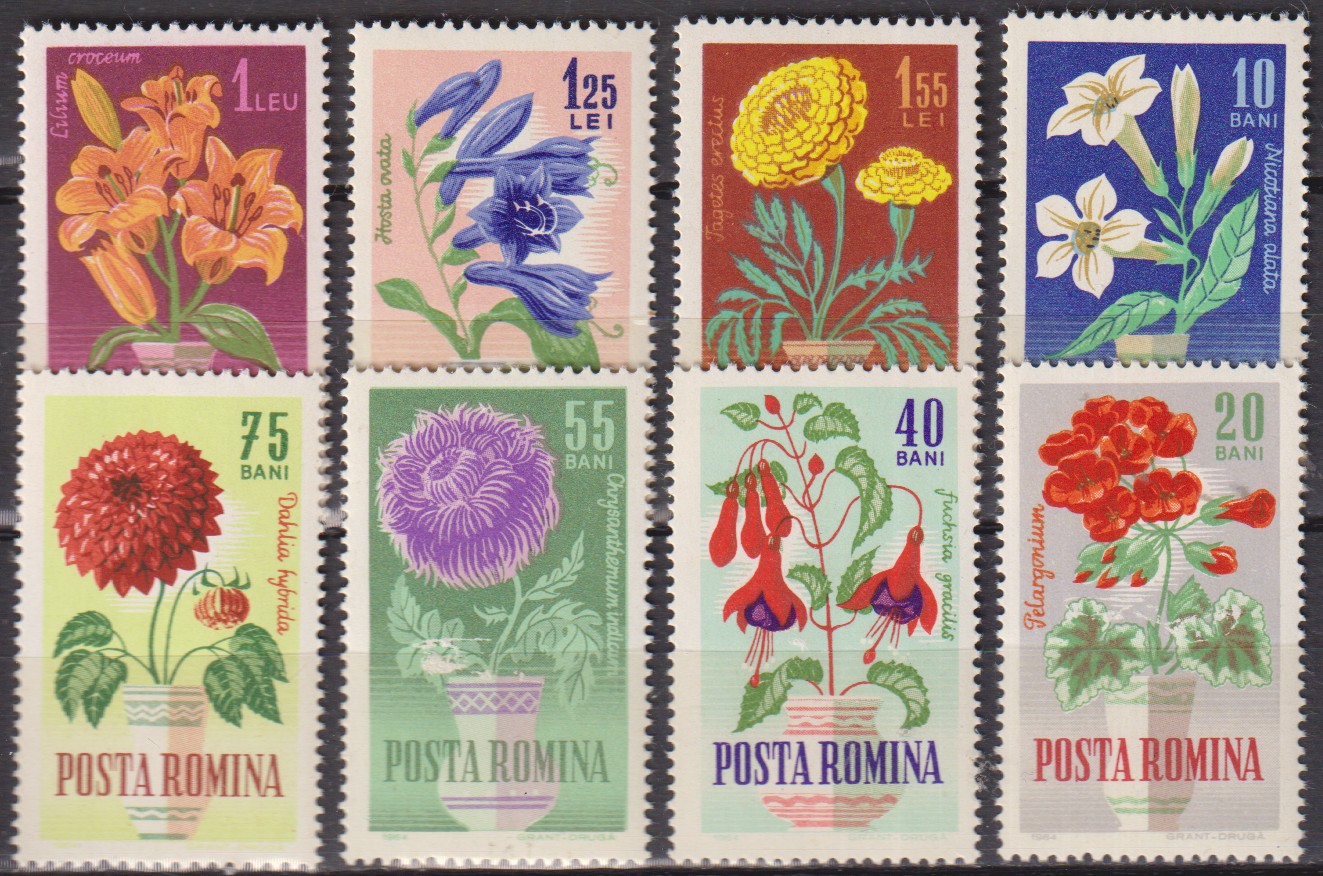 Numérisation_20260520 (47)