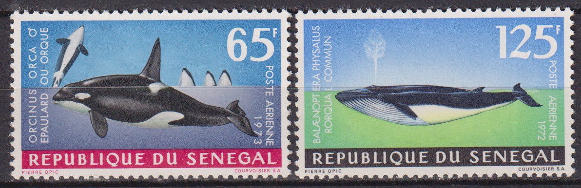 Numérisation_20260527 (17)