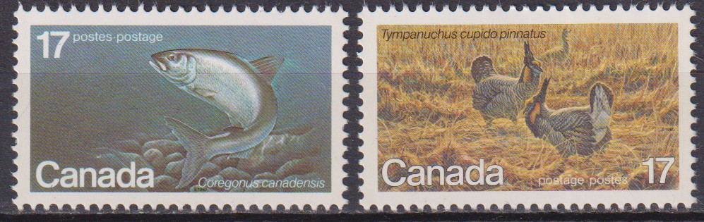 Numérisation_20260629 (9)