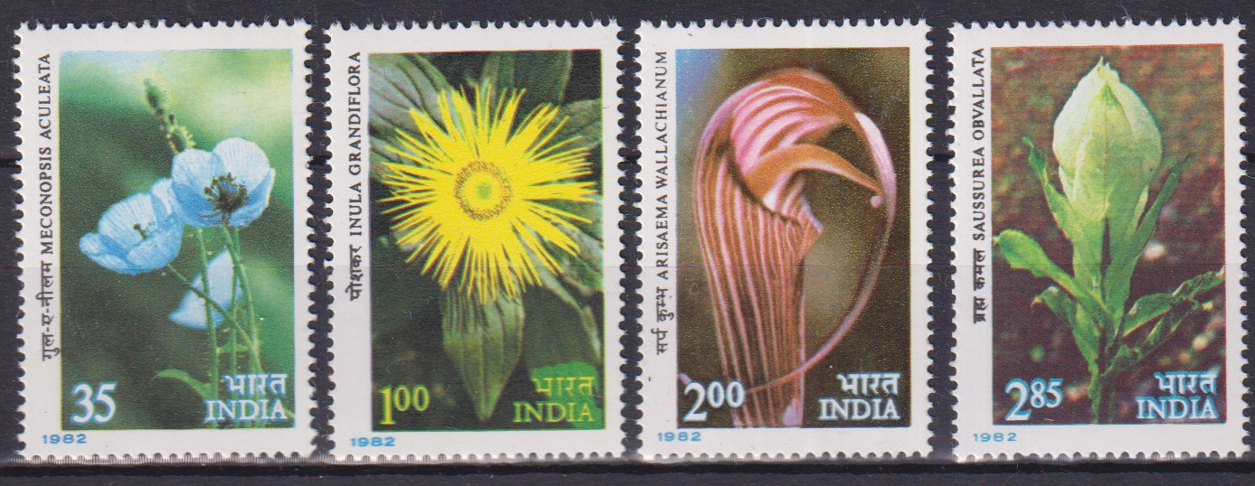 Numérisation_20260701 (119)