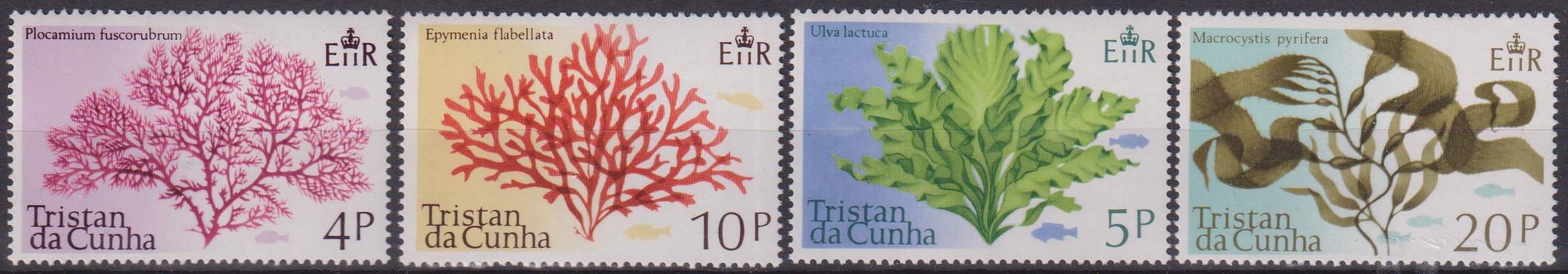 Numérisation_20260803 (13)