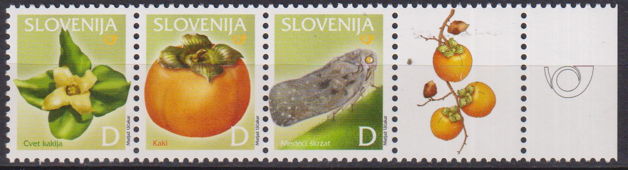 Numérisation_20260826 (103)
