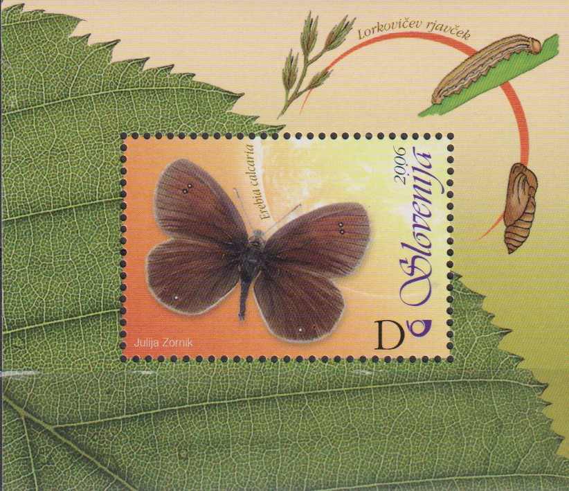 Numérisation_20260826 (116)