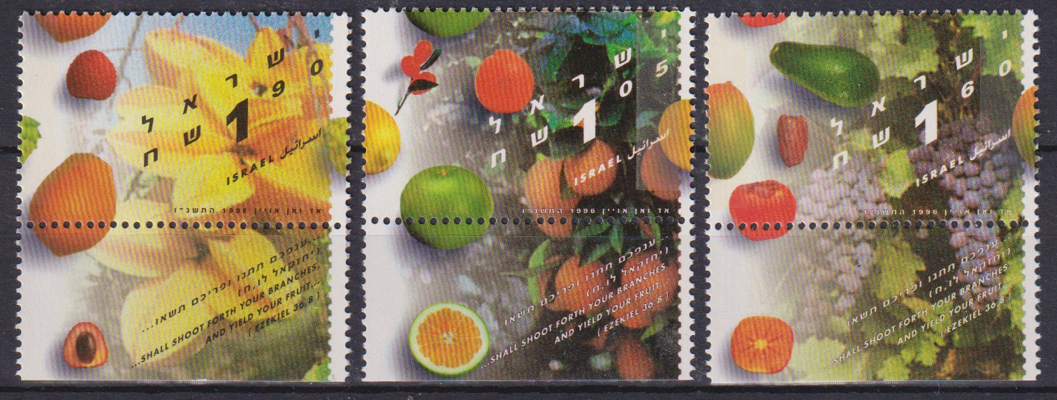 Numérisation_20260831 (79)