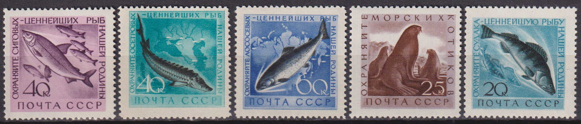 Numérisation_20260528 (51)