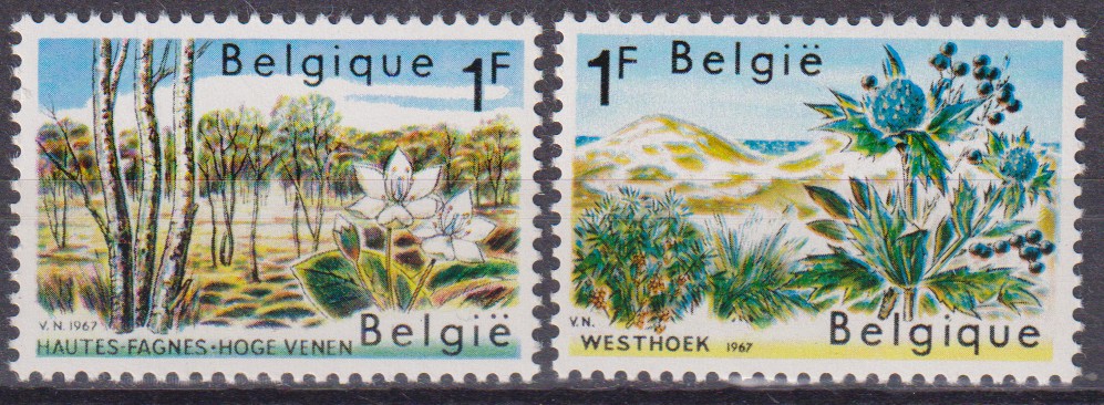 Numérisation_20260607 (20)
