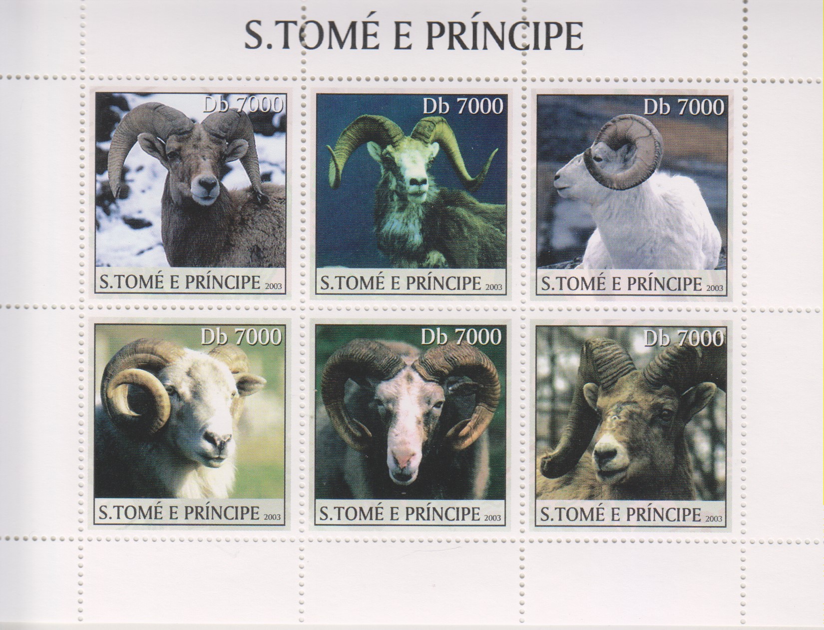 Numérisation_20200303 (24)