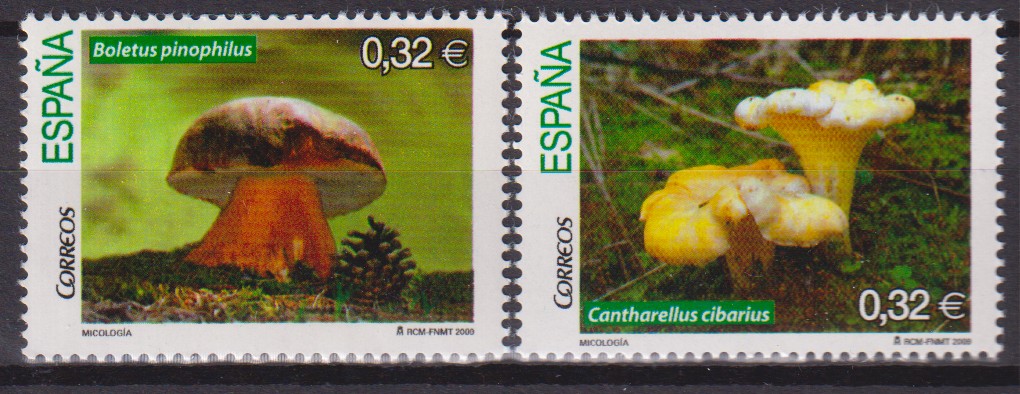 Numérisation_20260928 (14)