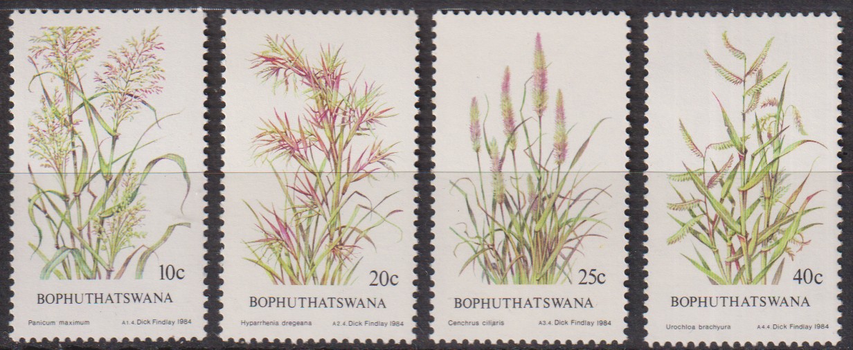 Numérisation_20261027 (65)