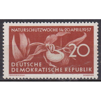 Numérisation_20260506 (203)