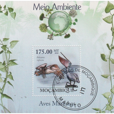 Numérisation_20260521 (15)
