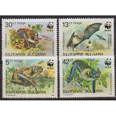 Numérisation_20260608 (45)
