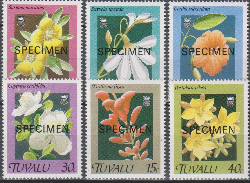 Album Pour Timbres Prophila 60 Pages Intérieur Noir - Classeur Collection Timbres Couverture Noire