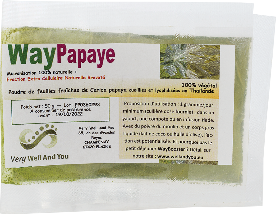 WayPapaye