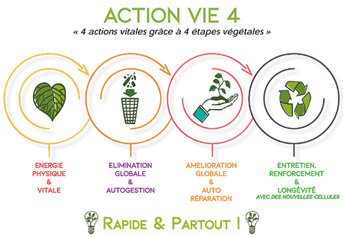 action-vie-4-2018