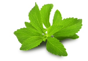 stevia