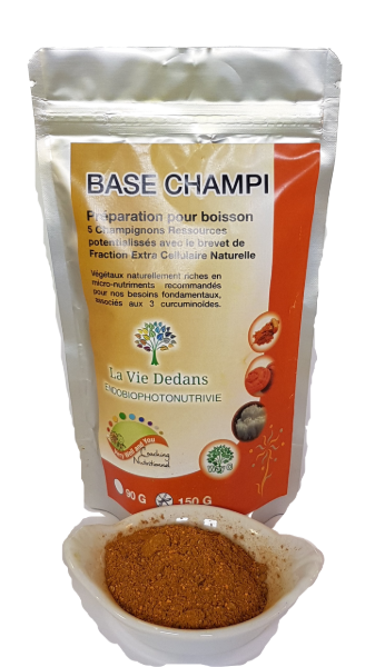 base champ 4