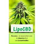 lipoCBD